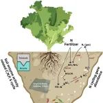 土壤-植物-微生物互作丨SOIL BIOL BIOCHEM：石墨纳米添加对土壤-植物系统中土壤酶活性、功能基因和微生物组成的影响