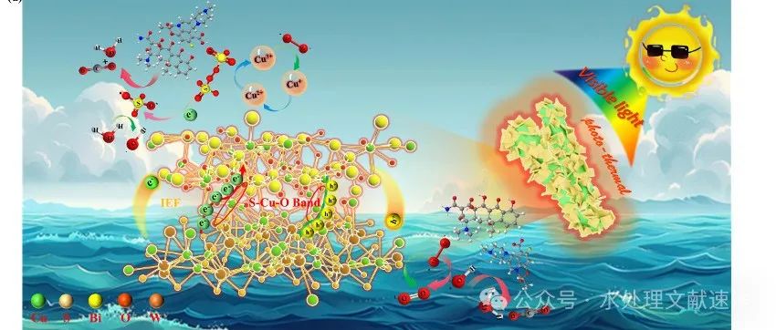 文献速递｜河北地质大学卢昶雨&江苏科技大学施伟龙JCIS：界面键和内电场调控核-壳CuBi2O4@Cu2WS4光热辅助光催化