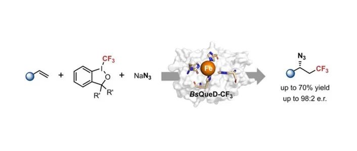 阅读 Angew |&#160;工程化改造的非血红素铁酶可催化苯乙烯类发生对映选择性三氟甲基叠氮化反应