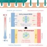 【Angew】湖南大学朱智强教授团队：天然丝素蛋白助力水系锌电池实现超宽温稳定运行