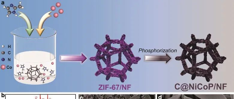 浙江理工大学李仁宏、中国华电科工集团白建明ACB：MOF衍生C@NiCoP/NF原位演化促进尿素辅助电催化制氢