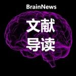 Brain Stimul：高剂量iTBS结合个体化神经功能靶向治疗技术，为卒中后认知障碍患者带来新希望