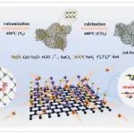 福建师范大学《EEM》：一硫化锡/石墨烯复合材料中晶格应变与硫空位耦合，用于高性能钠离子存储