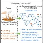 广科院Chem刘琼/汪福宪:&#160;耐氧型光催化连续还原烟道气制乙烯
