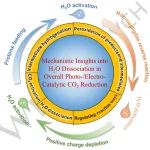 Angew综述：光/电催化CO2还原中H2O解离机制