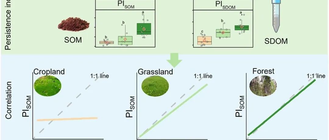 土壤SOM稳定性评估丨SOIL BIOL BIOCHEM：评估土壤溶解有机质可作为不同生态系统中土壤有机质特性的替代物