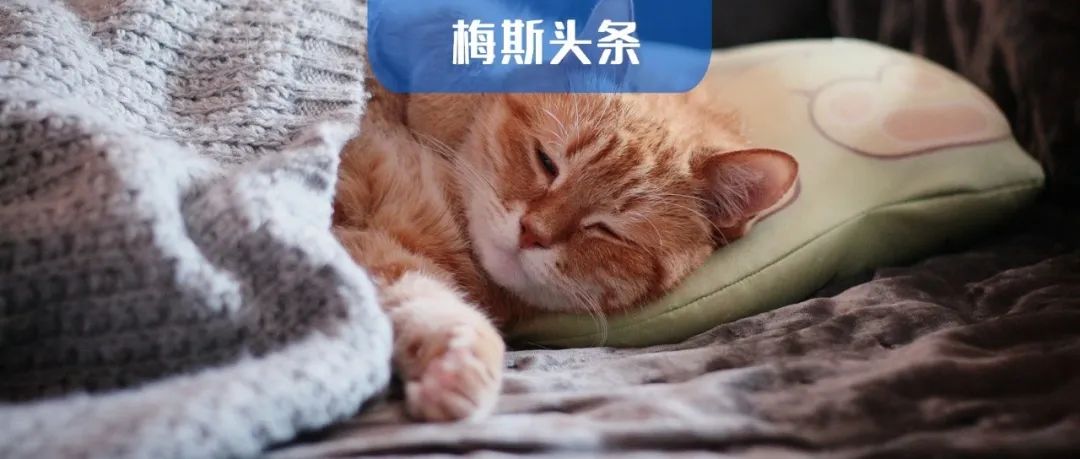 最佳睡眠时长竟不是8小时！复旦大学：短睡眠是疾病的“因”，长睡眠是疾病的“果”，睡眠<7小时心脏风险激增！>8小时死亡风险飙升！