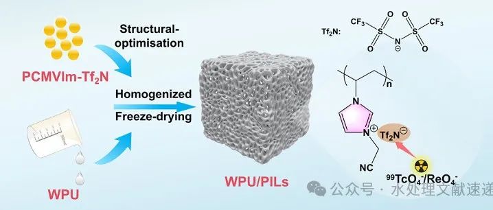 文献速递｜西北师范大学谢玄、彭辉、张哲教授团队CEJ: 用于高效和选择性吸附锝-99的先进水性聚氨酯/聚(离子液体)泡沫