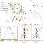 (纯计算)湖南师范大学陈明星团队Phys. Rev. B: 二维铁电体中多态本征极化与滑移诱导极化的结合