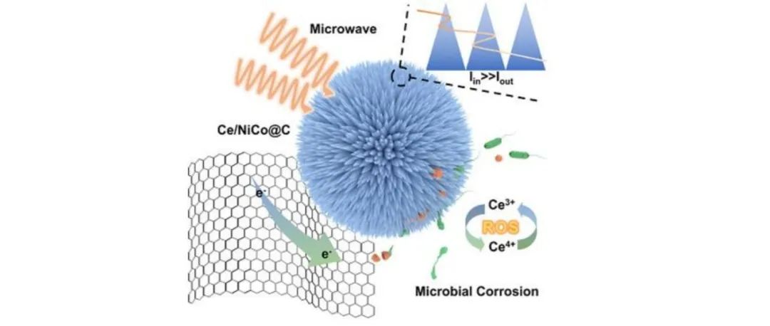 【Adv.Funct.Mater】通过Ce3+/Ce4+价调制的径向介电梯度核壳Ce/NiCo@C的同时电磁波吸收和抗菌活性研究