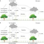 南方科技大学最新Nature！