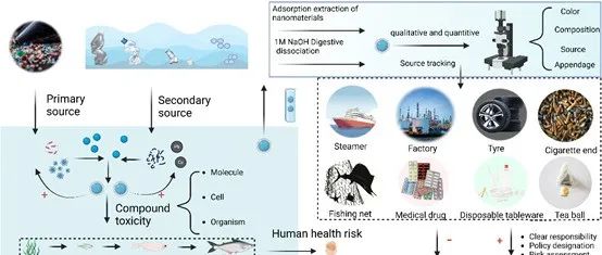 温州大学孙达-重庆科技大学曾国明丨Ecotox Environ Safe：聚焦微塑料污染的全面解析监测、治理与风险评估