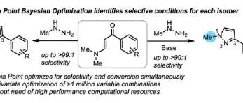 Selective N&#8209;Methyl Pyrazole Condensation