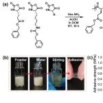 宁波大学陈重一教授 ACS Macro Lett.：基于螺旋结构聚氨基酸的强力生物粘合剂