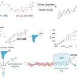 J. Am. Chem. Soc. | 一种共价靶向金黄色葡萄球菌毒力因子的mRNA展示方法