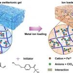 浙工大杨晋涛/郑司雨团队 Macromolecules：基于铁盐强化两性离子水凝胶