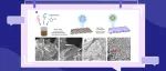 河南农大董玉涛教授团队：2D超薄缺陷MOF复合材料的尺寸与界面效应在Li-S电池中协同催化“固硫”研究