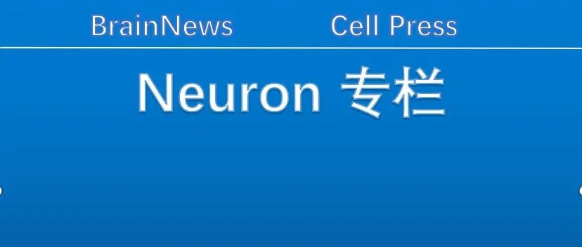 Neuron：时松海院士团队揭示PFC神经元初级纤毛调控动物压力（及抑郁样行为）的新机制