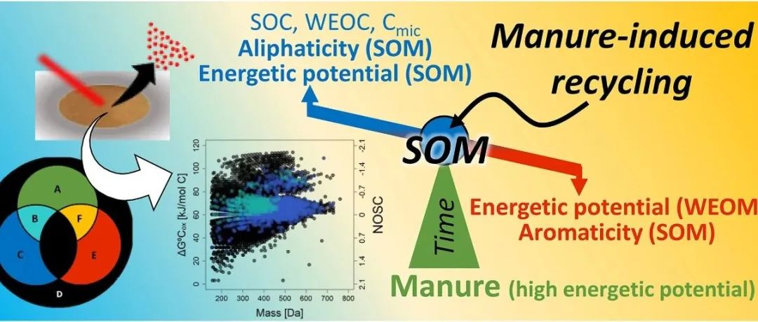 土壤有机碳转化丨SOIL BIOL BIOCHEM：长期粪肥添加对土壤有机质分子组成的影响： 碳转化是能量潜力的主要驱动力