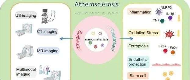 CBMI | 南京大学医学院附属鼓楼医院张冰教授及牡丹教授团队综述：纳米材料在动脉粥样硬化诊疗中的应用