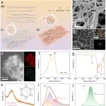 北理工陈南团队Adv. Mater.：通过铝离子硬酸配位增强氟代石墨炔湿气电池的性能