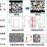 上海交通大学ACS Energy Letters：消除电极反应非均匀性，电极界面靶向修复优化高镍软包电池循环稳定性