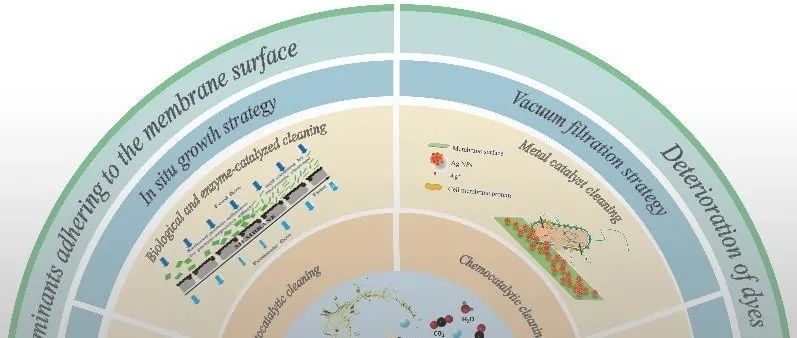 哈工大邵路教授团队 MSER：先进催化清洁膜 - 当代现状与未来展望