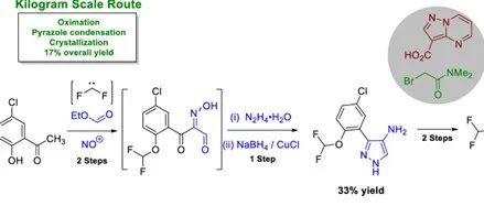 Kilogram-Scale Synthesis of the JAK1 Inhibitor GDC-4379