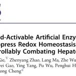 JACS：超声激活型人工酶与精准基因治疗的协同作用：抑制氧化还原稳态和恶性表型以可控方式对抗肝细胞癌