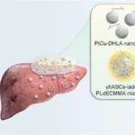 ACS Nano：结合多功能纳米酶和载细胞微凝胶的脱细胞型胞外基质平台用于治疗急性肝衰竭