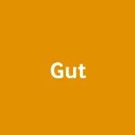 清华大学机械系孙伟/庞媛课题组《Gut》：研发3D打印肝类器官用于肝衰竭治疗研究