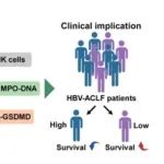 Hepatology丨 中山大学郭志勇等团队合作发现焦亡是HBV相关ACLF患者肝细胞死亡的主要模式