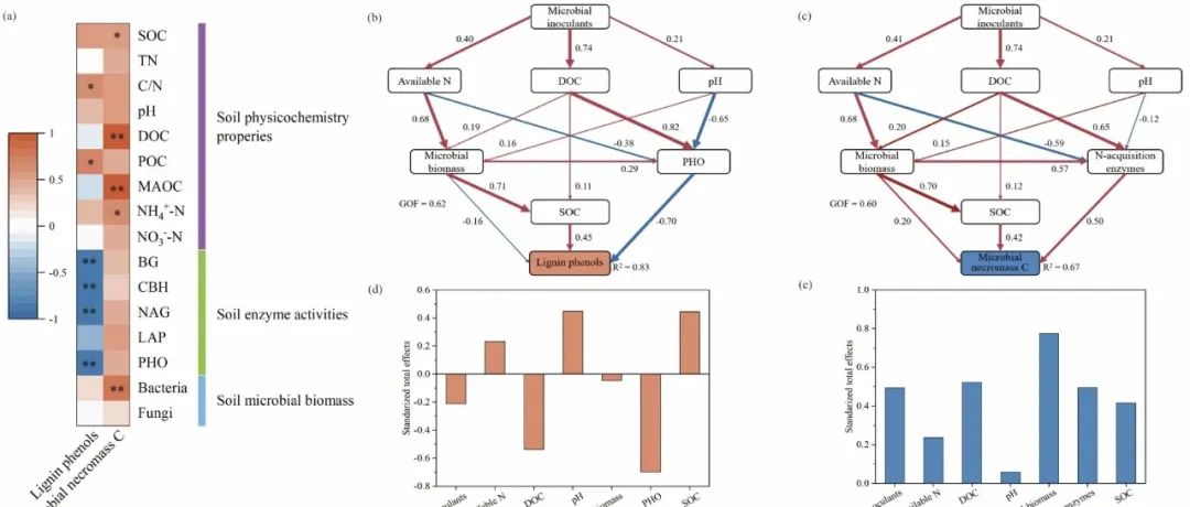 稻田有机碳固存丨SOIL TILL RES：添加微生物菌剂增加了稻田土壤中微生物残体，但降低了植物木质素对土壤有机碳的贡献