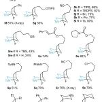 祝介平团队：一种全新的 Pd(II) 催化氧化多米诺反应