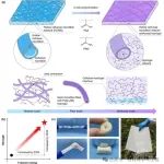 武汉大学4篇顶刊！生物质基功能材料系列研究成果