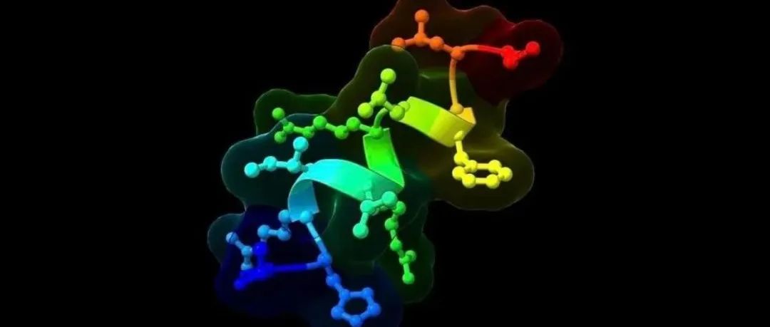 《自然》：斯坦福科学家发现天然高效减肥分子！不知不觉食量减半