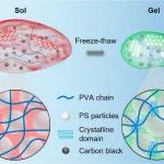 深圳先进院杜学敏研究员团队 AFM：新型结构色液体让冻融过程“看得见”