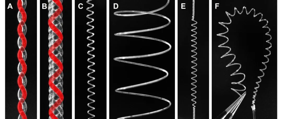 得克萨斯大学达拉斯分校 Ray H. Baughman 院士团队 Science：无芯轴制备大弹簧因子人工肌肉