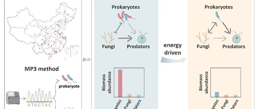 中山大学汪善全团队WR：基于微生物组全息分析新技术解析我国典型垃圾填埋场微生物组时空分布与演替特征