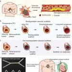 华东师大张利东教授、周立旻教授团队 Carbohyd. Polym.：微生物矿化技术-打造生物可降解的超疏油海藻酸盐水凝胶中空管