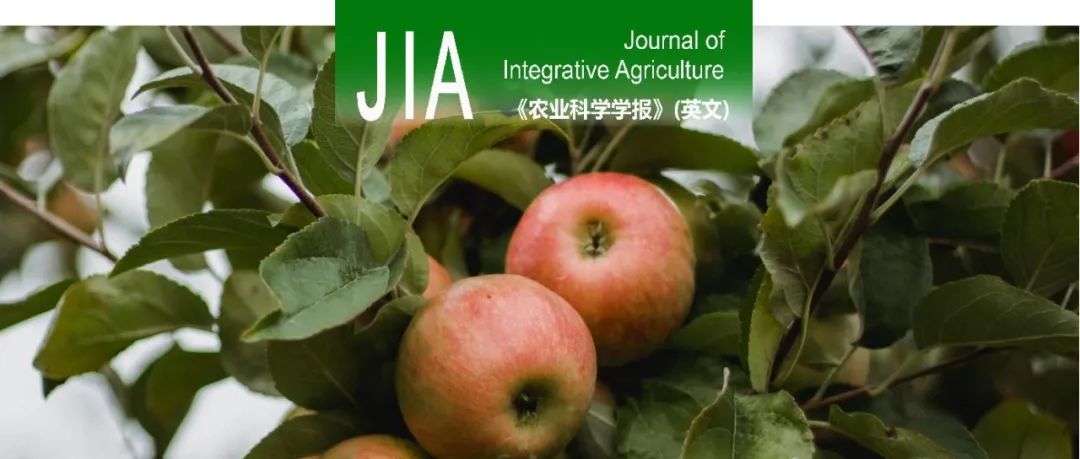 JIA｜河南农业大学郑先波团队鉴定苹果防御素基因MdDEF25对腐皮镰刀菌抗性