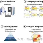 Food Chemistry | 将代谢组学应用于植物性食品的原产地溯源、栽培品种鉴定和加工：可行性和未来展望