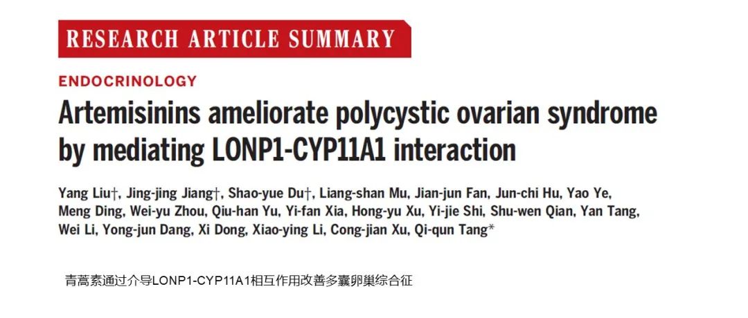 Science|青蒿素通过介导LONP1-CYP11A1相互作用改善多囊卵巢综合征