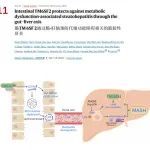 Gut & Nature Metabolism | 期刊学习