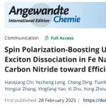 南京大学周勇/港中文(深圳)朱熹/涂文广Angew:自旋极化增强g-C3N4超快载流子动力学与激子解离用于高效CO2光还原