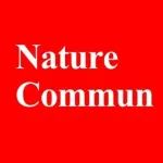 华科黄云辉Nature子刊：离子桥接实现聚醚电解质用于高压准固态电池