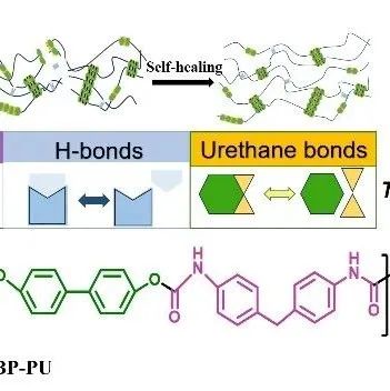 东华大学游正伟教授团队：兼具高机械强度和高效室温自愈合性能的聚氨酯应用于摩擦纳米发电机