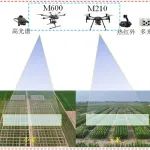 无人机光谱遥感模型实现麦玉轮作区作物水分精准监测