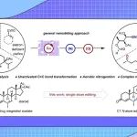 【Science】北京大学焦宁团队：通过碳碳双键解构实现复杂烯烃的催化重塑