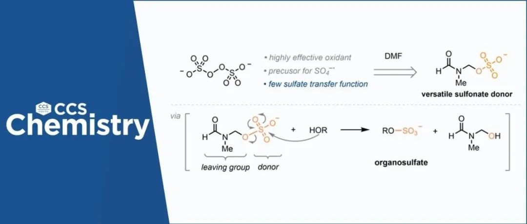 【CCS Chem.】湖南大学李家昆团队：过硫酸盐作为磺酸基供体的O-硫酸化反应